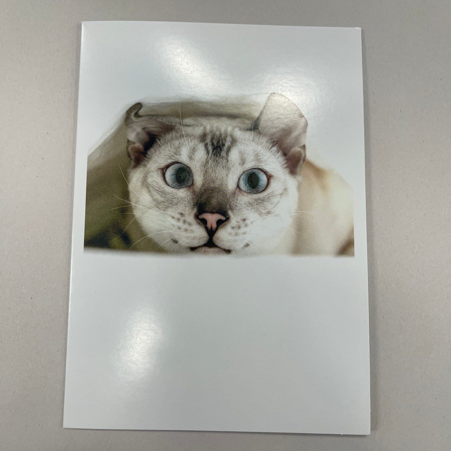 Designer Greeting Cards Get Well