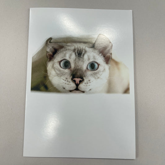 Designer Greeting Cards Get Well