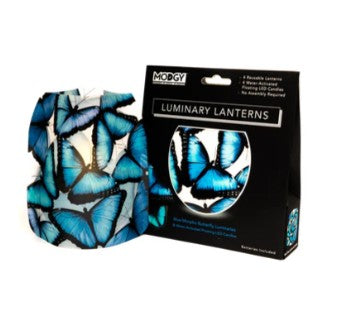 Blue Morpho Luminiary