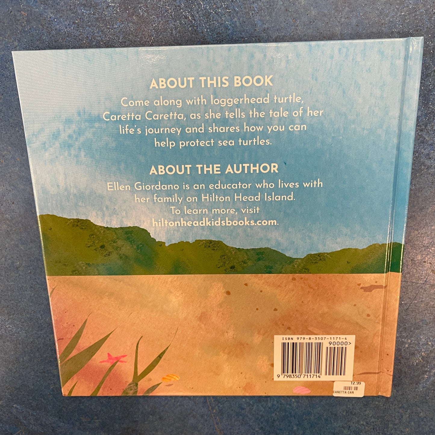 Caretta Caretta- Loggerhead Turtle