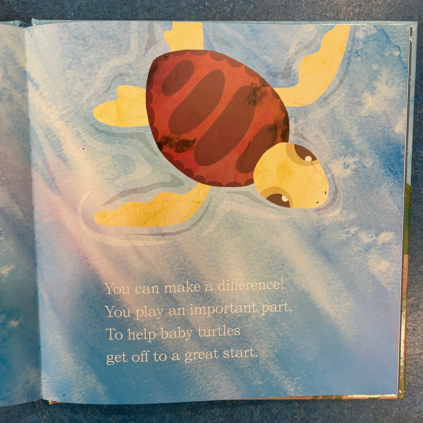 Caretta Caretta- Loggerhead Turtle