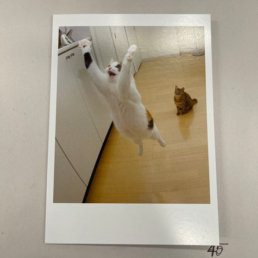 Designer Greeting Cards Birthday