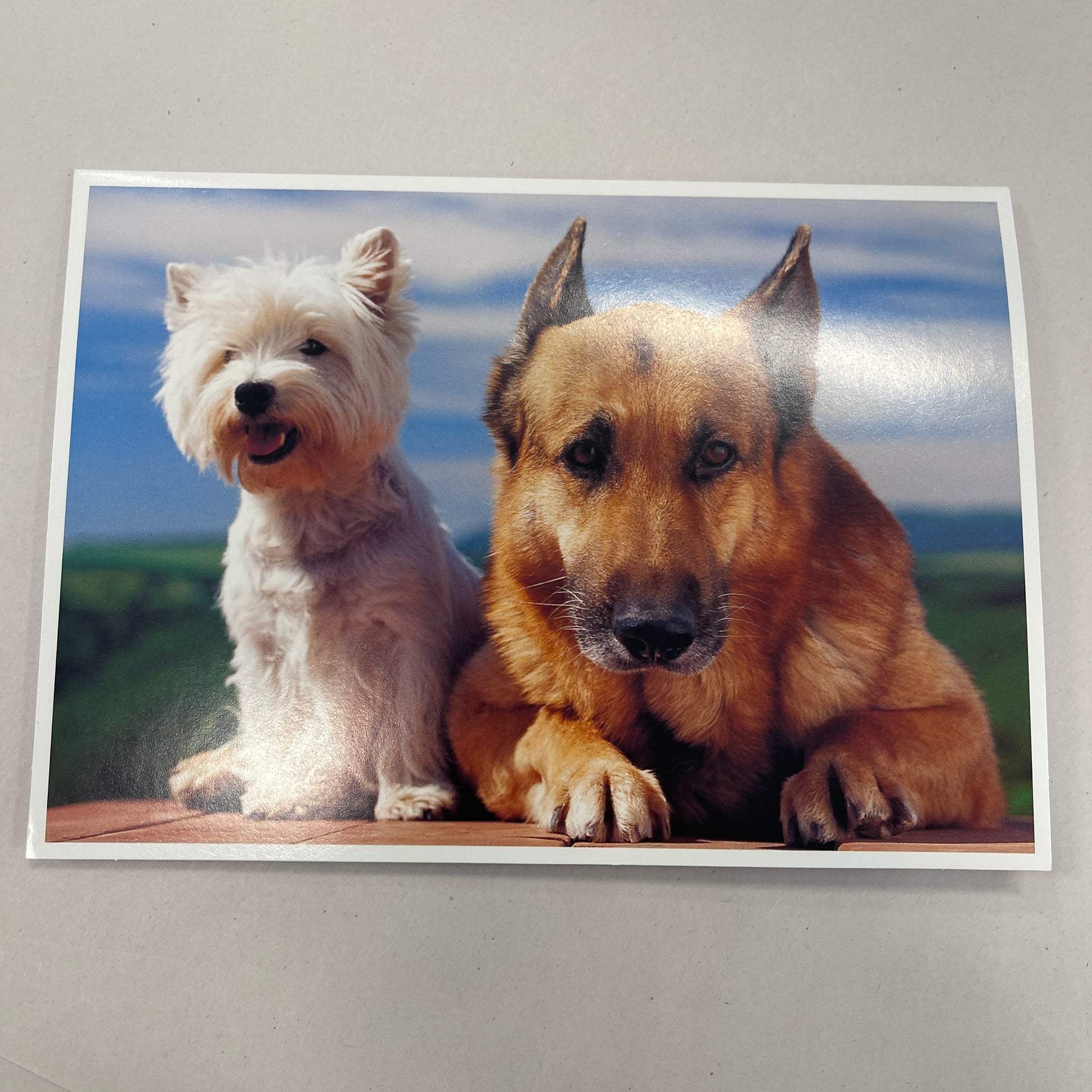 Designer Greeting Cards Birthday