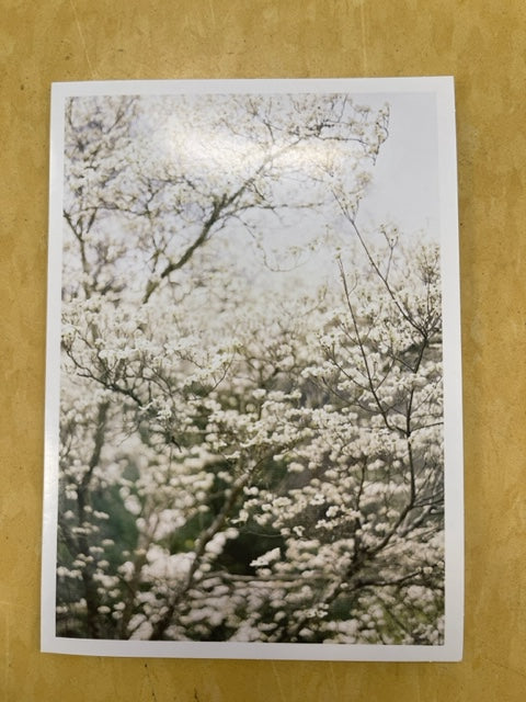 Designer Greeting Cards Birthday