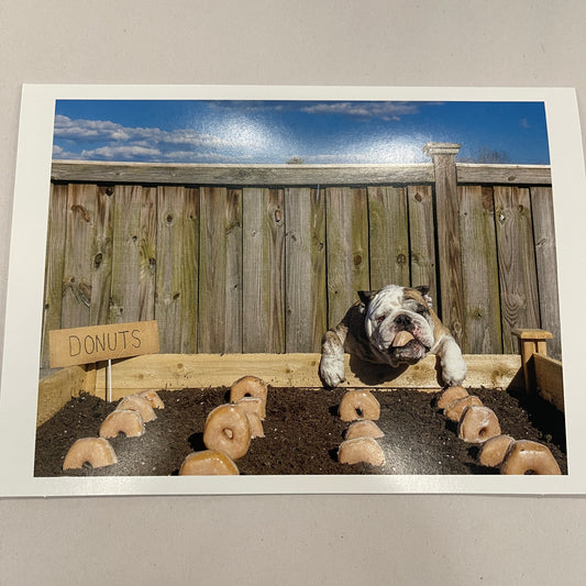 Designer Greeting Cards Birthday