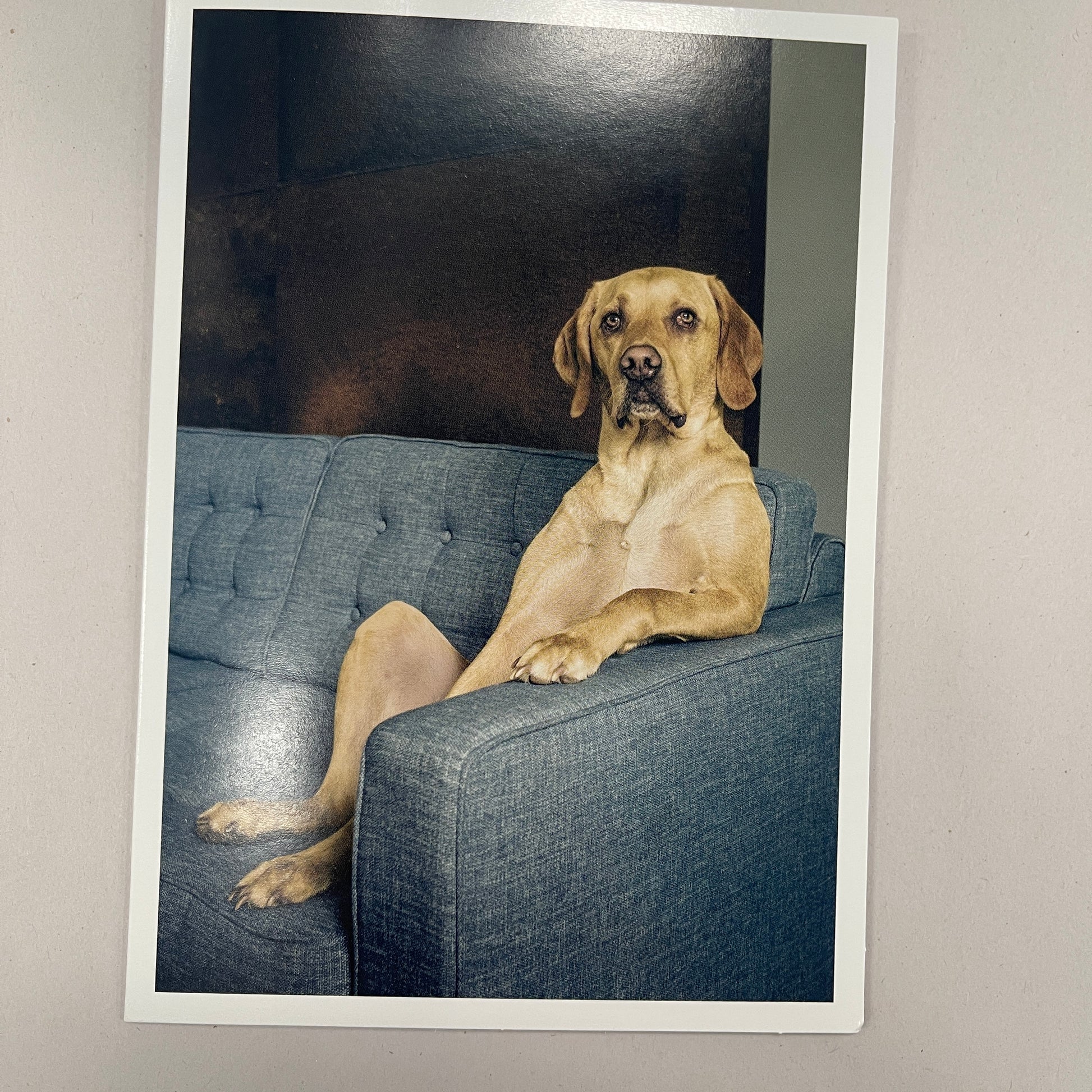 Designer Greeting Cards Birthday