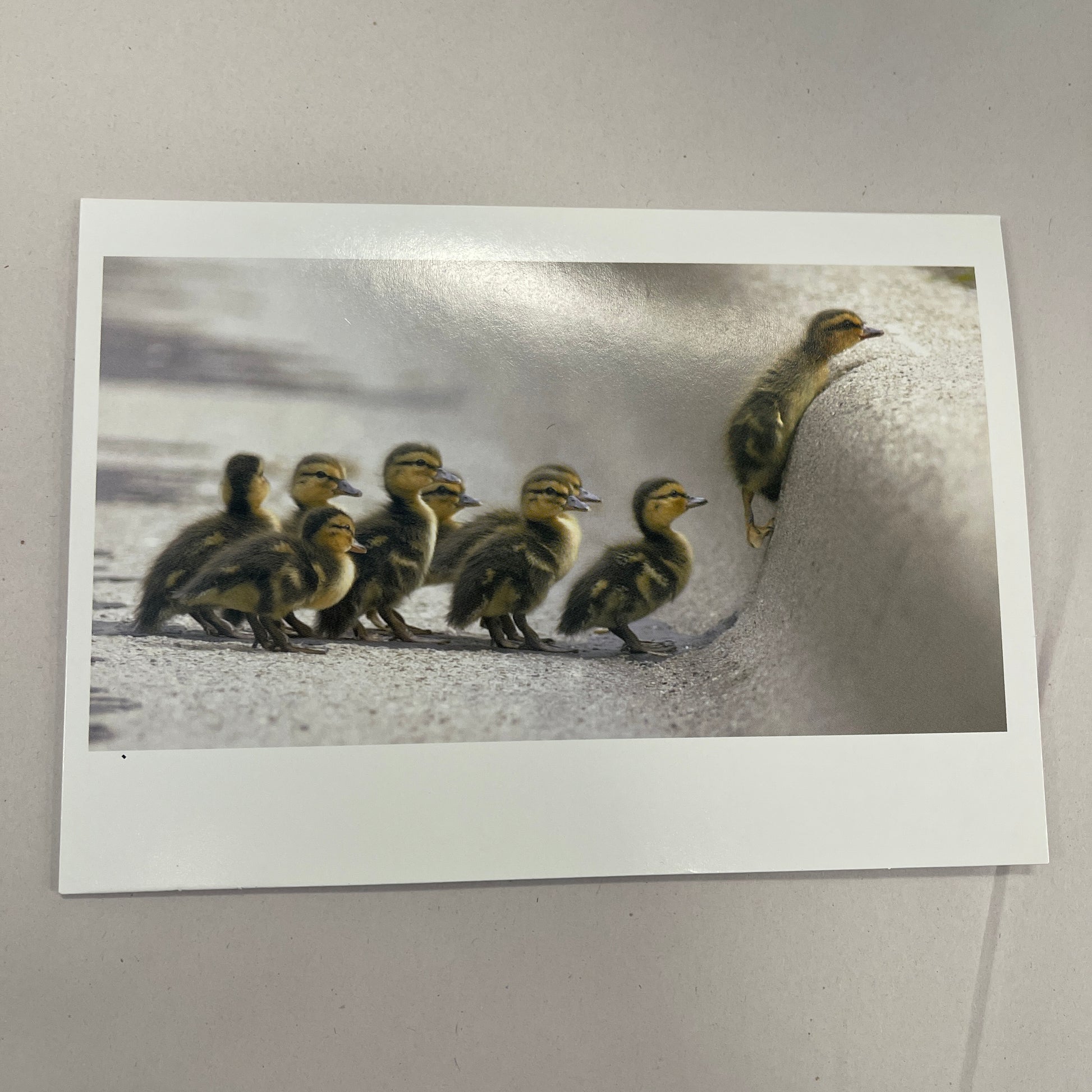 Designer Greeting Cards Encouragement