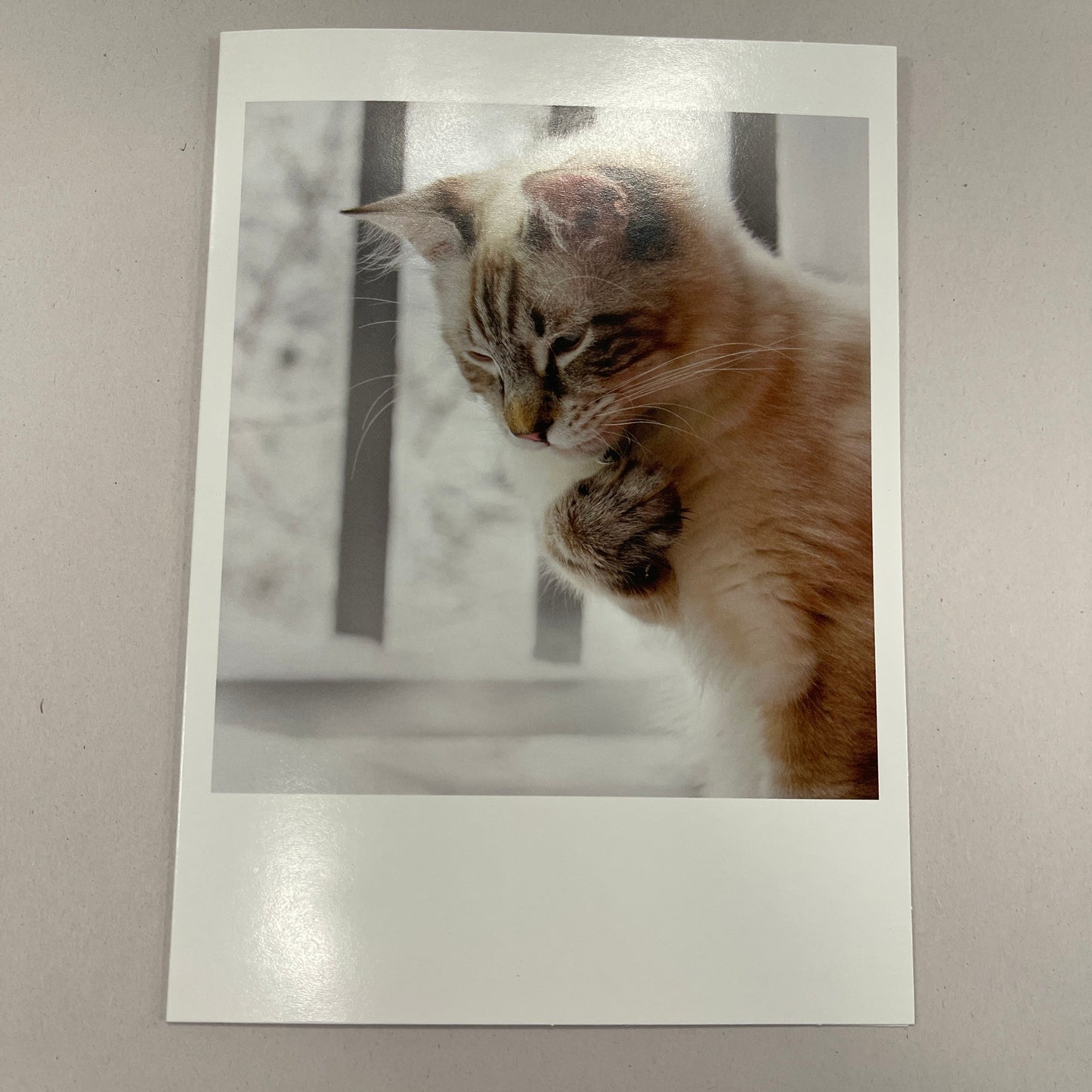 Designer Greeting Cards Birthday