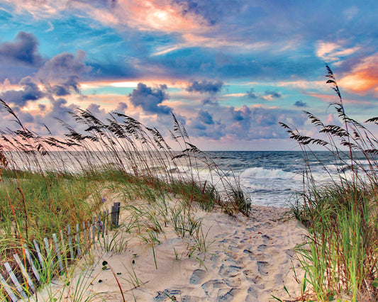 High Tide 1,000 Pieces