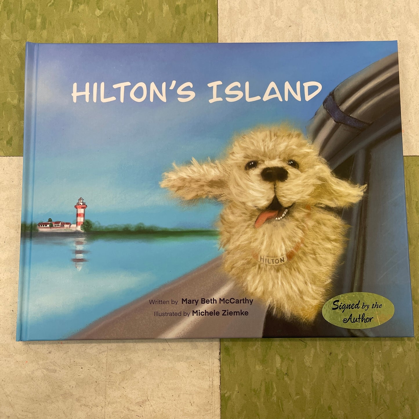 Hiltons Island