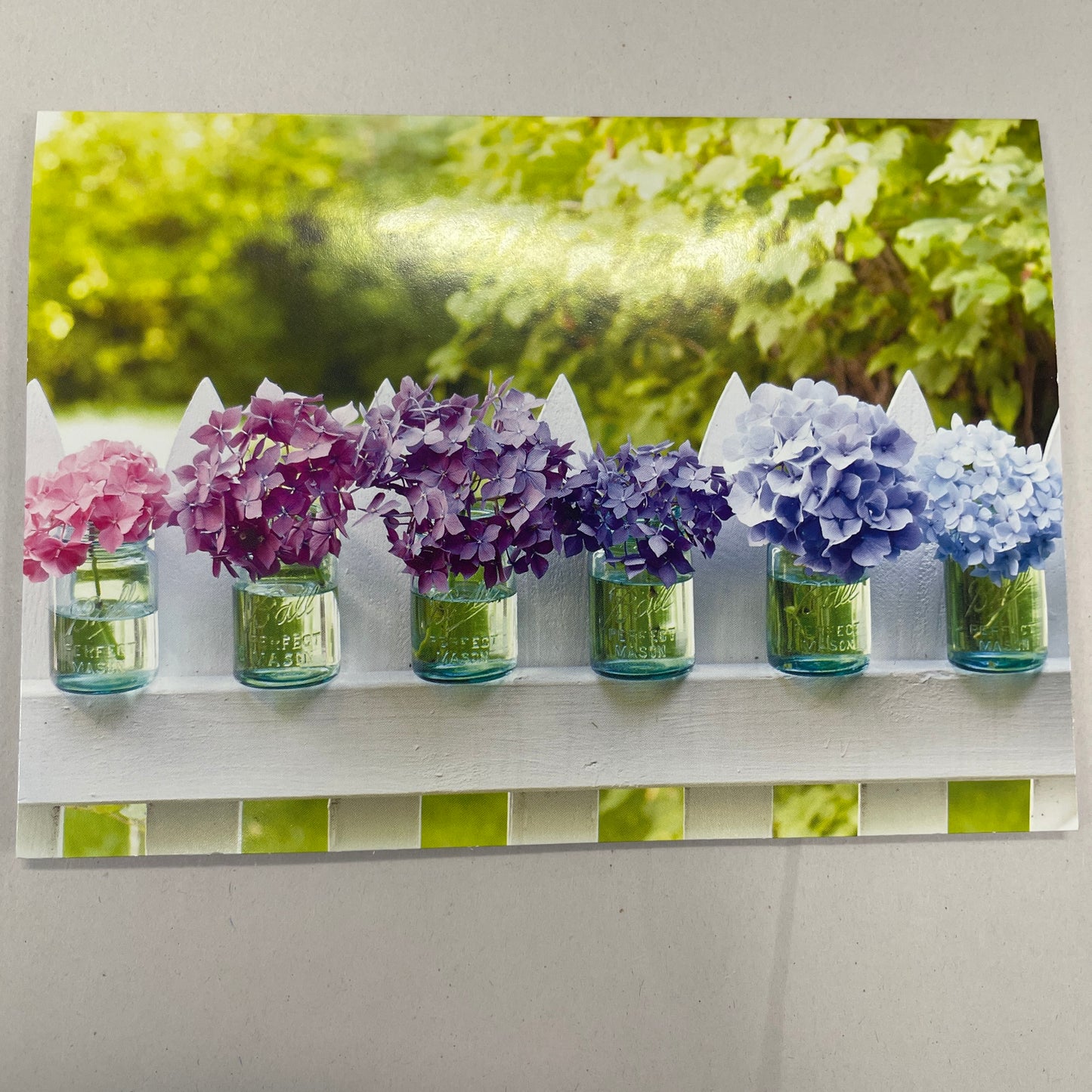 Designer Greeting Cards Blank