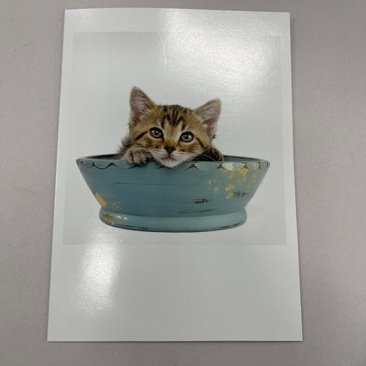 Designer Greeting Cards Birthday