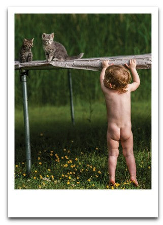 Designer Greeting Cards Birthday