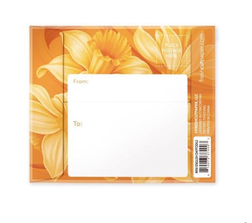 Mini English Daffodils