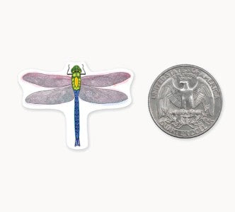 Mini Dragonfly Sticker