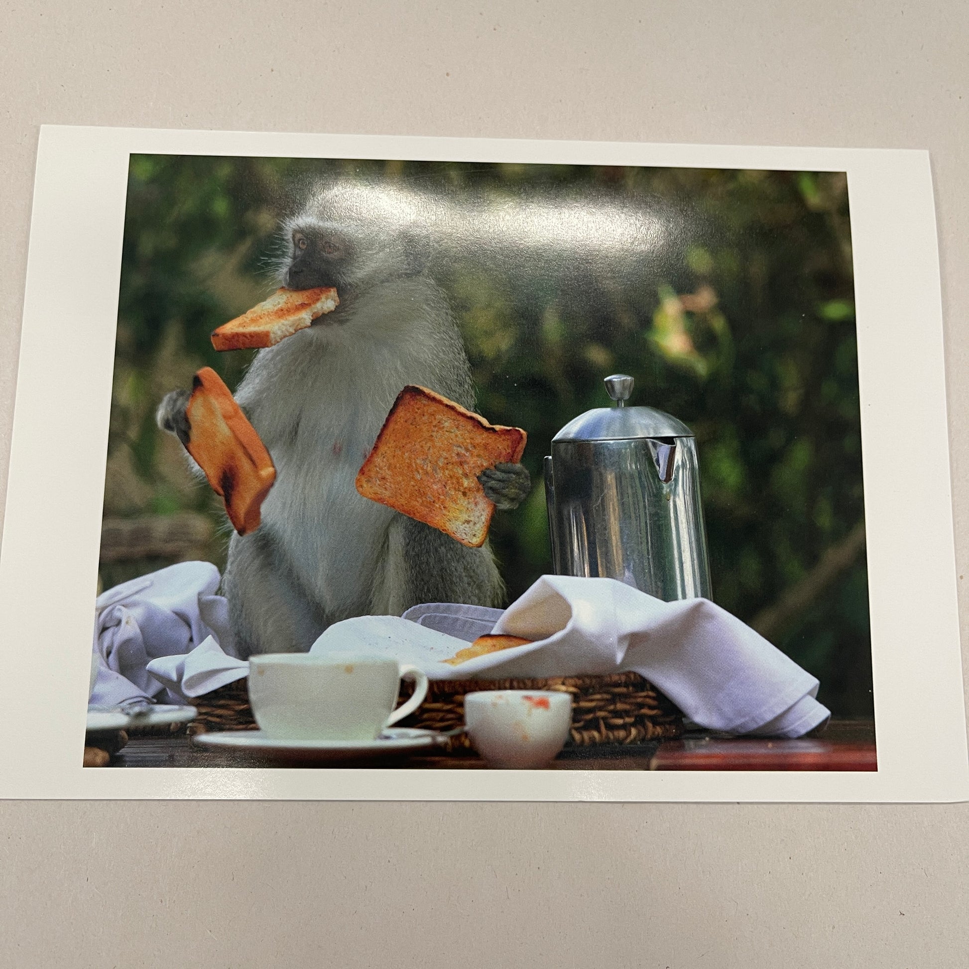 Designer Greeting Cards Birthday