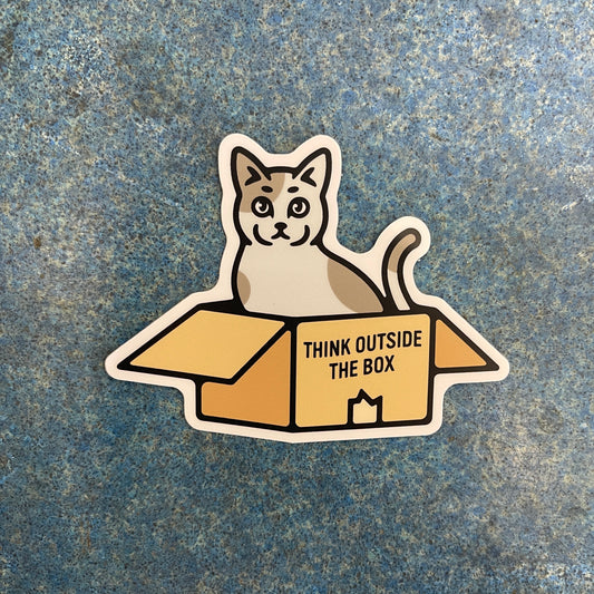 Outside the Box Kitty
