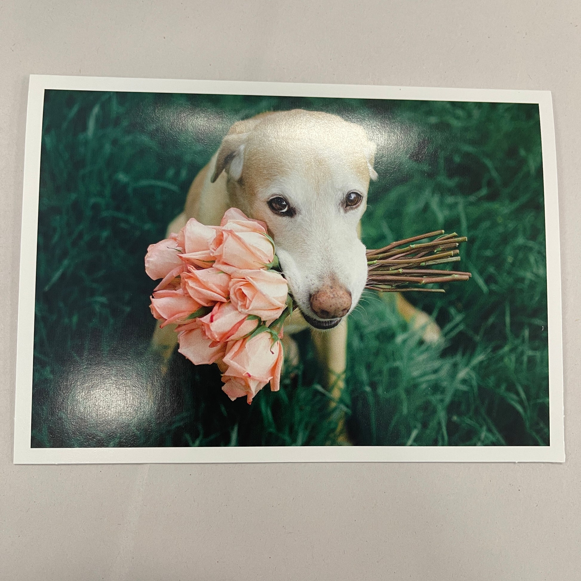 Designer Greeting Cards Thank You