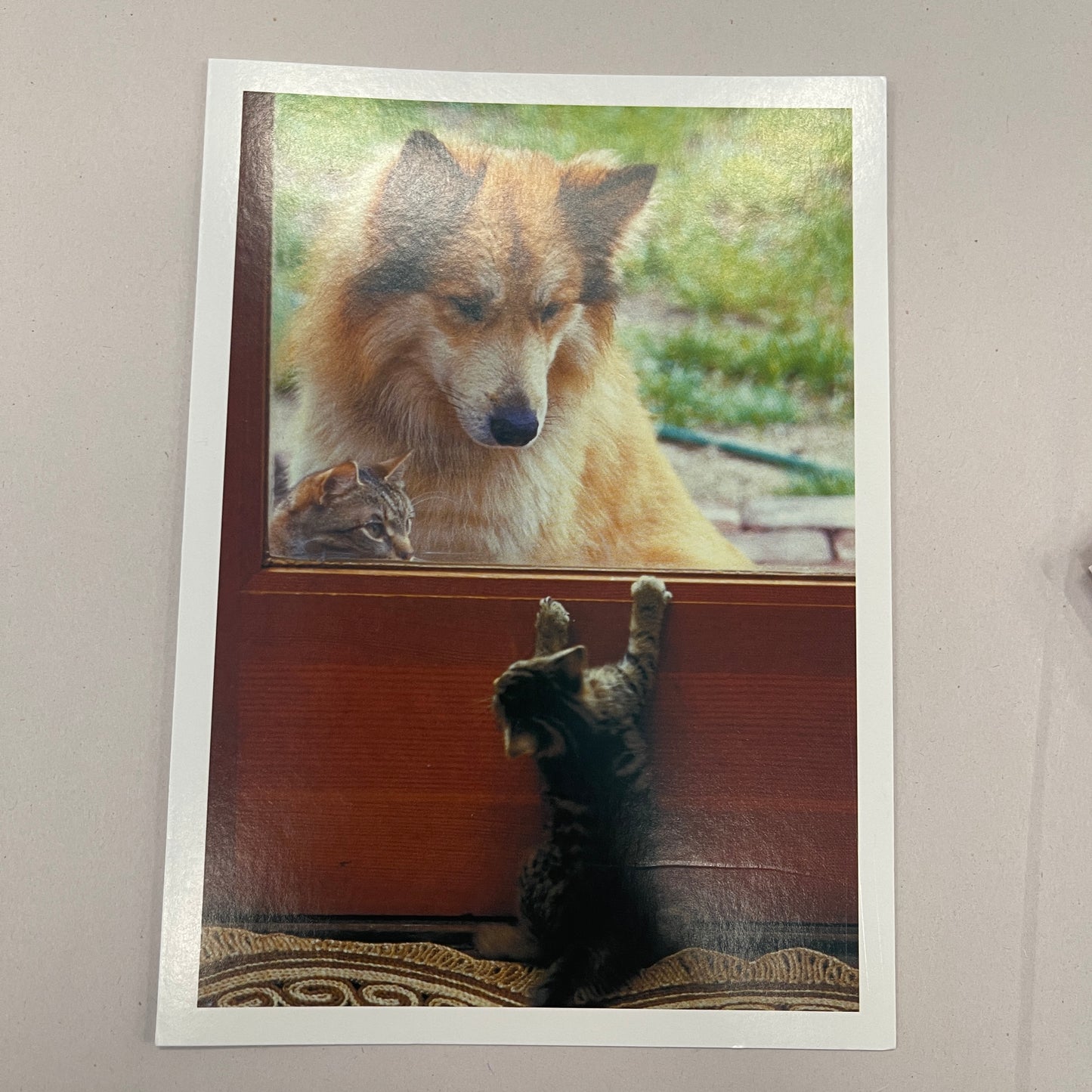 Designer Greeting Cards Get Well