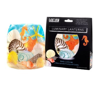 Shelly Seashell Luminary