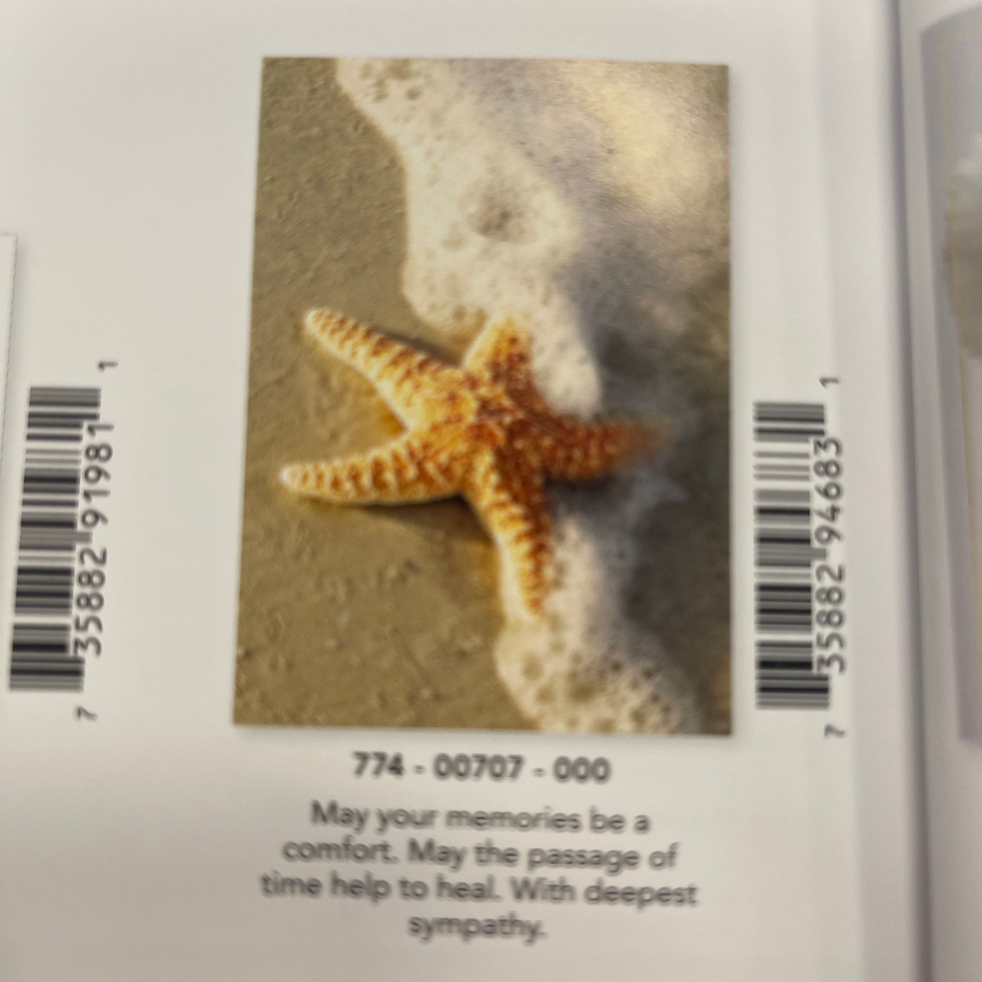 Designer Greeting Cards Sympathy