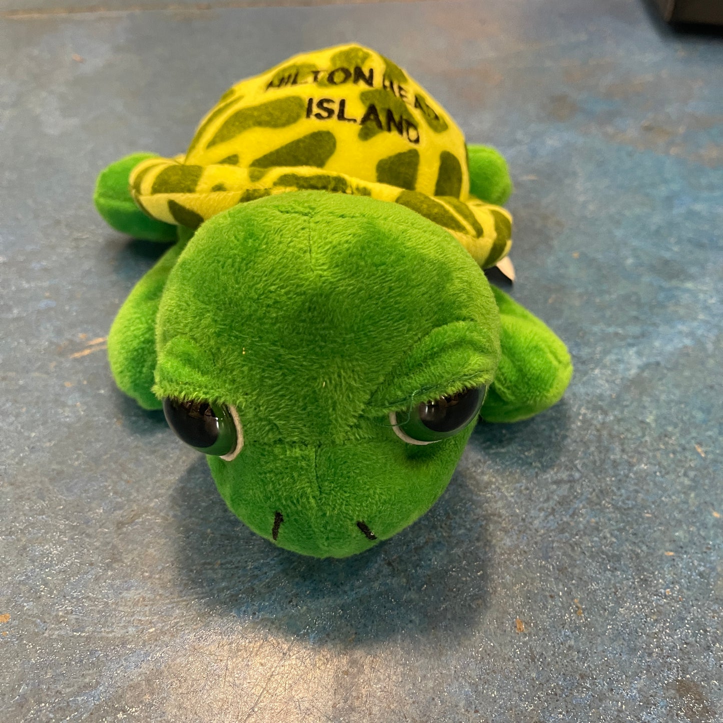 Plush HHI Turtle- Big Eyes