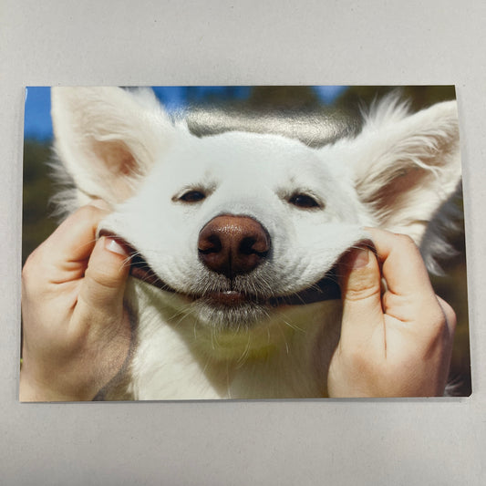 Designer Greeting Cards Friendship