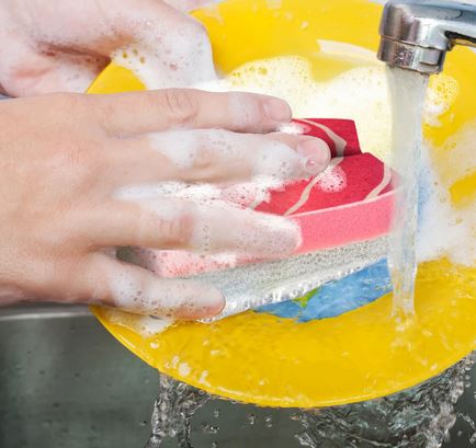 Washabi Sponge Set