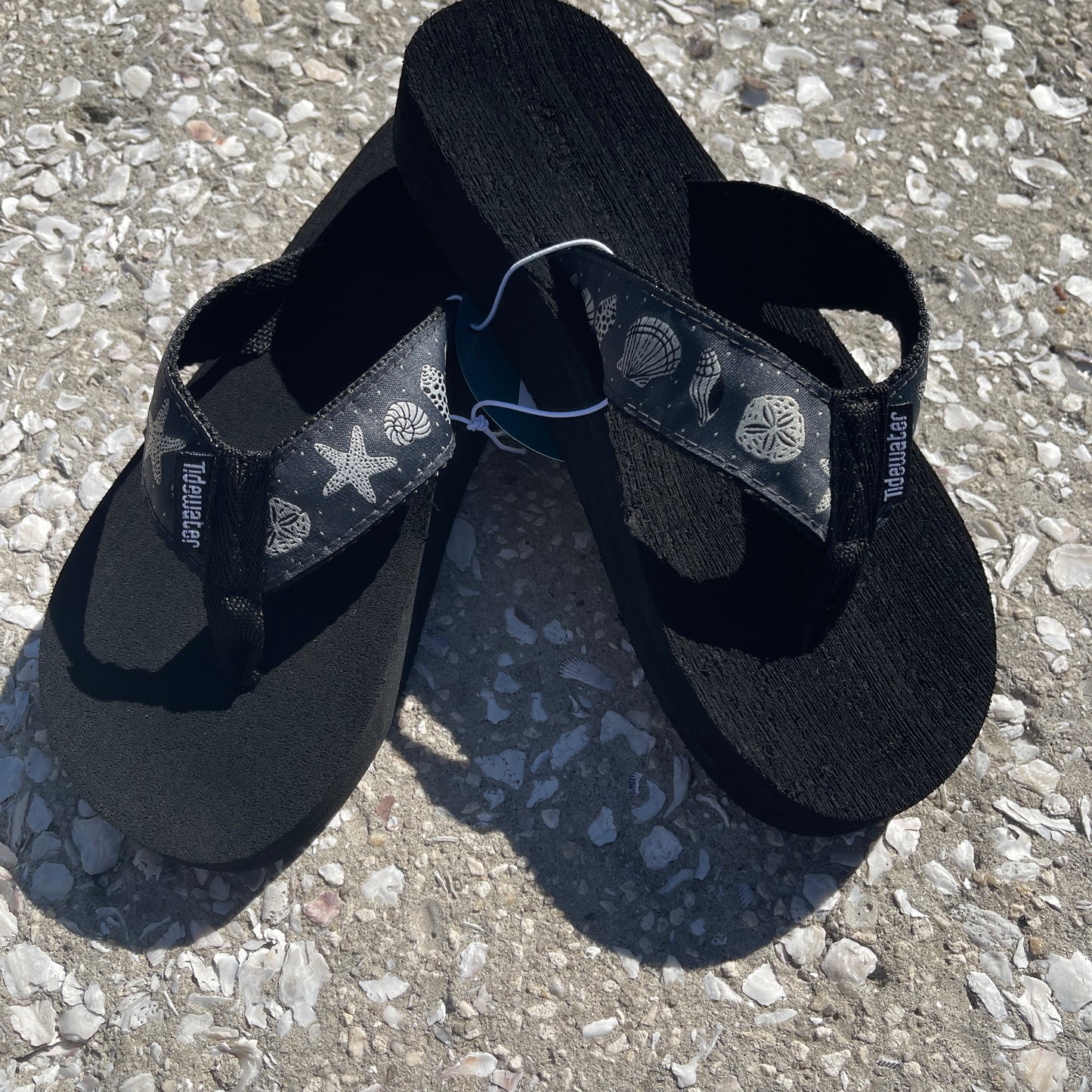 Dots and Shells Black