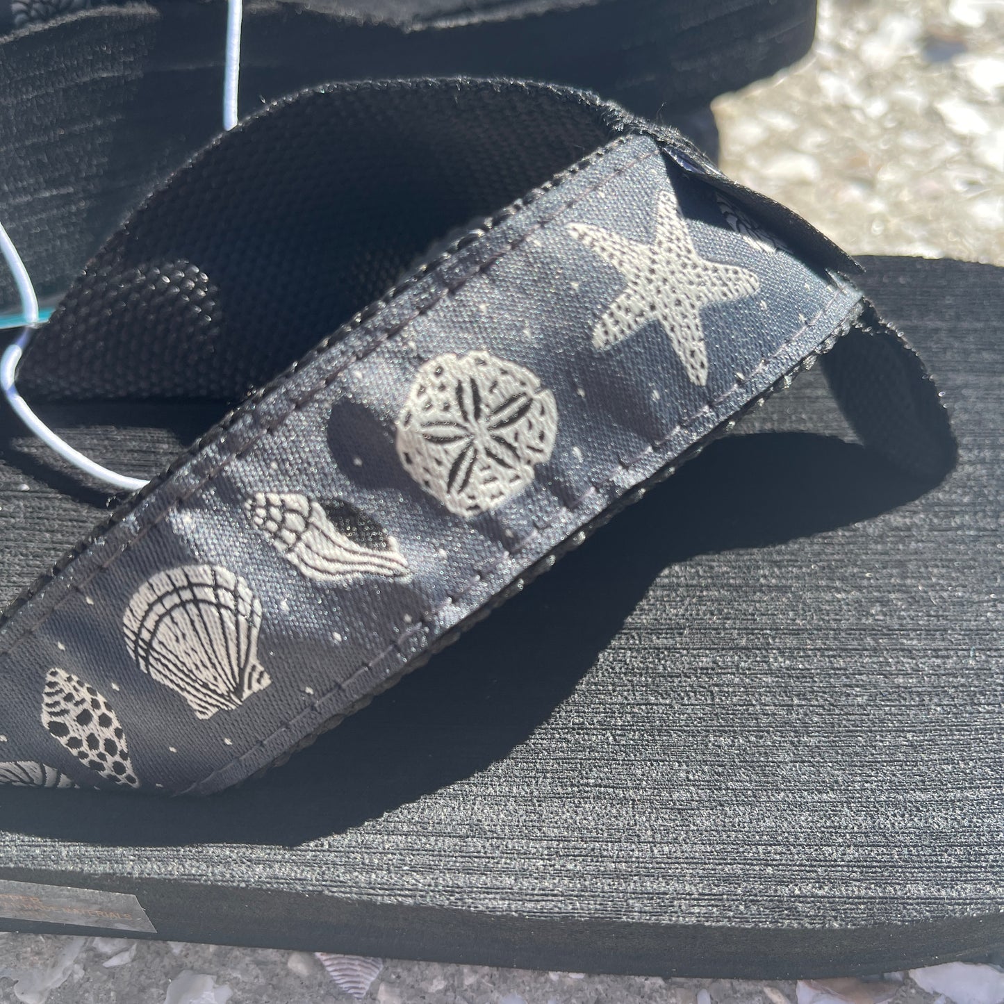 Dots and Shells Black
