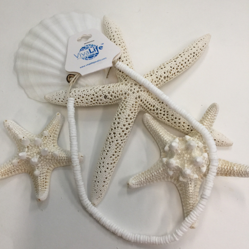 Clam Shell Necklace 16" or 18"