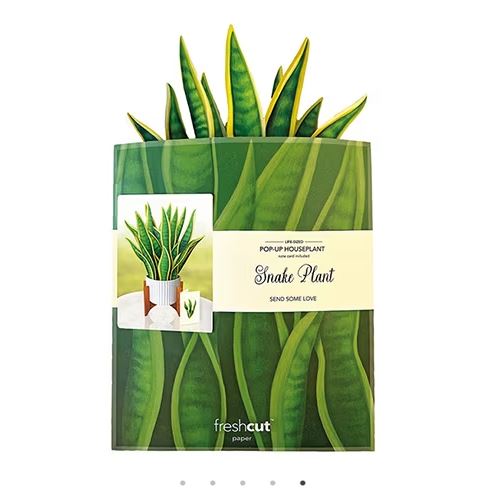 Snake Plant Freshcut Paper