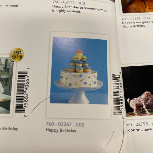 Palm Press Cards Birthday