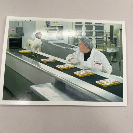 Designer Greeting Cards Birthday