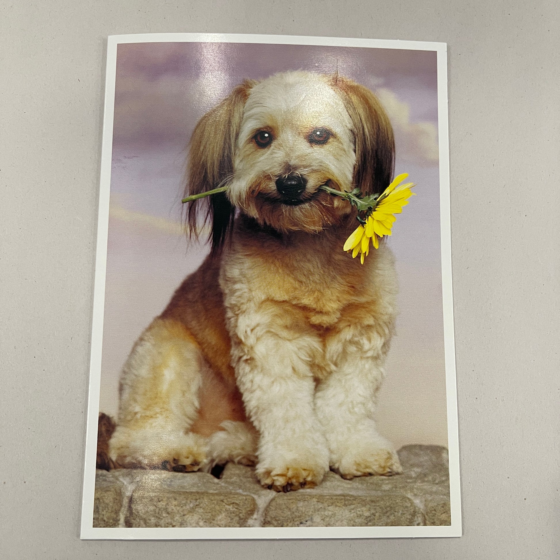 Designer Greeting Cards Birthday