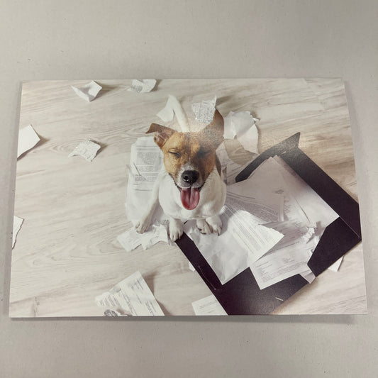 Designer Greeting Cards Birthday