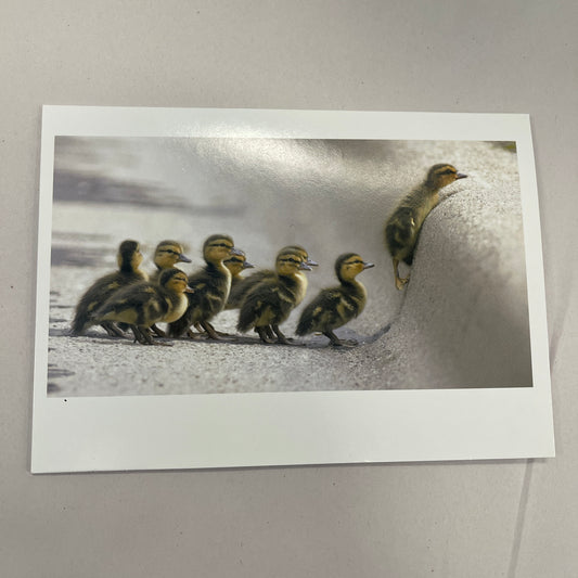 Designer Greeting Cards Encouragement