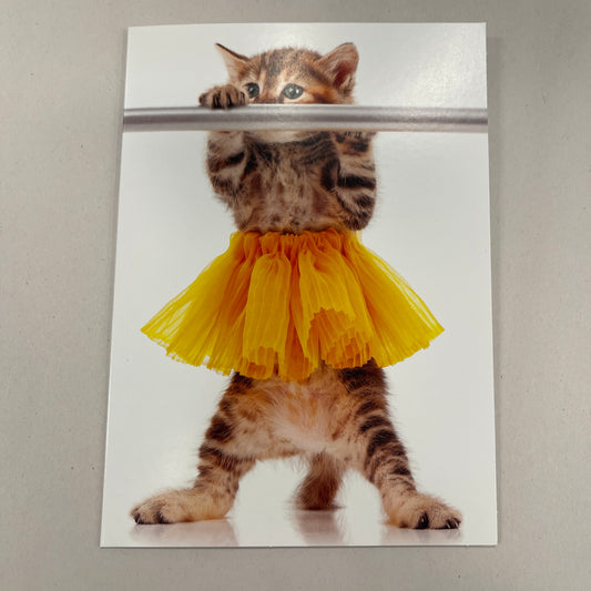 Designer Greeting Cards Birthday