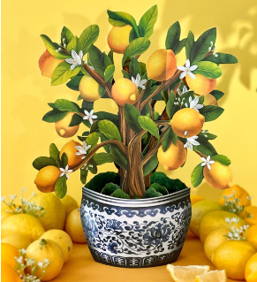 Lemon Blossom