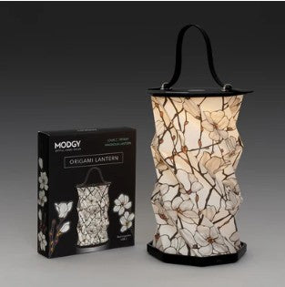 Lantern Magnolia