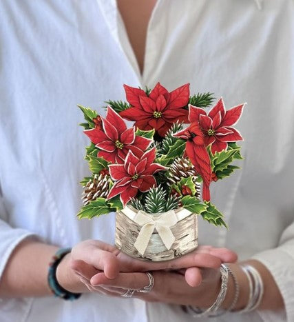 Mini Birch Pointsettia