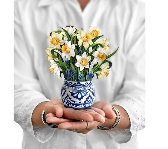 Mini English Daffodils