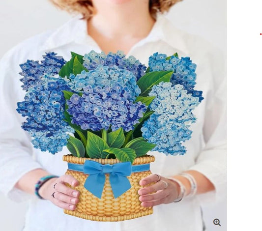 Nantucket Hydrangea