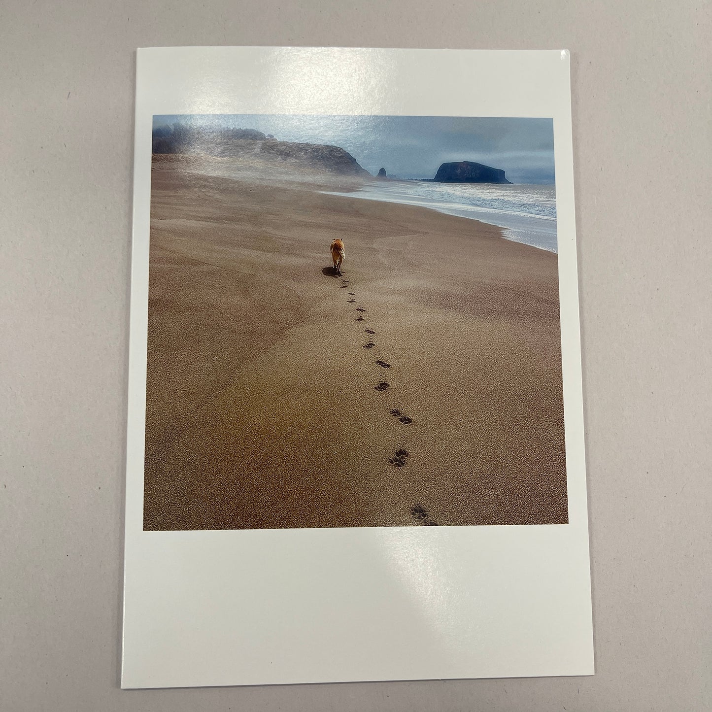 Designer Greeting Cards Loss of Dog