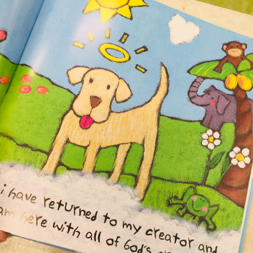 Paw Prints in Heaven Sympathy Book