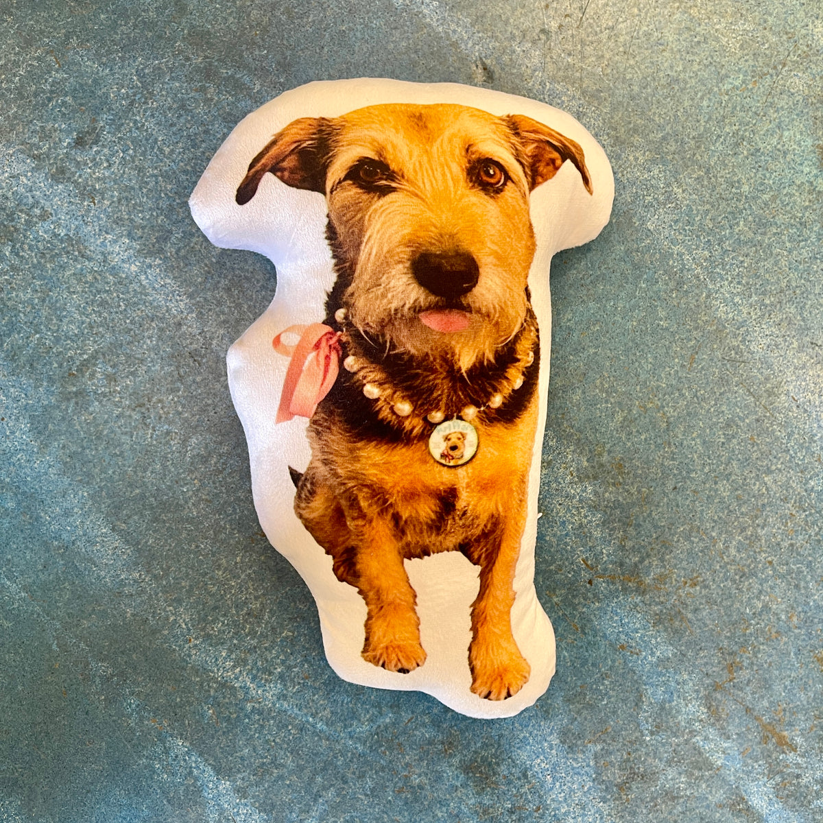 Penny Pillow
