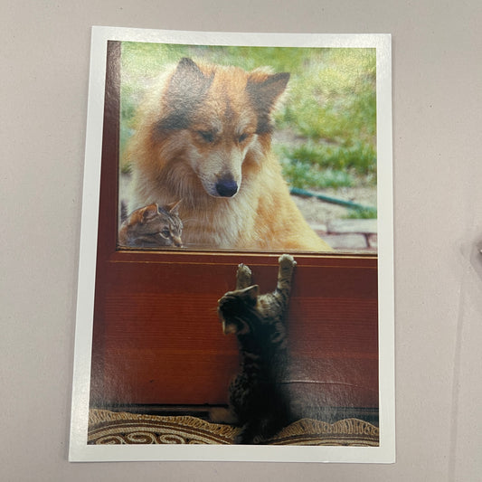 Designer Greeting Cards Get Well