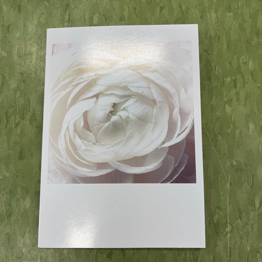 Designer Greeting Cards Congratulations