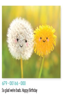 Designer Greeting Cards Birthday