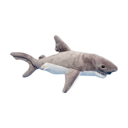 Surfer Shark
